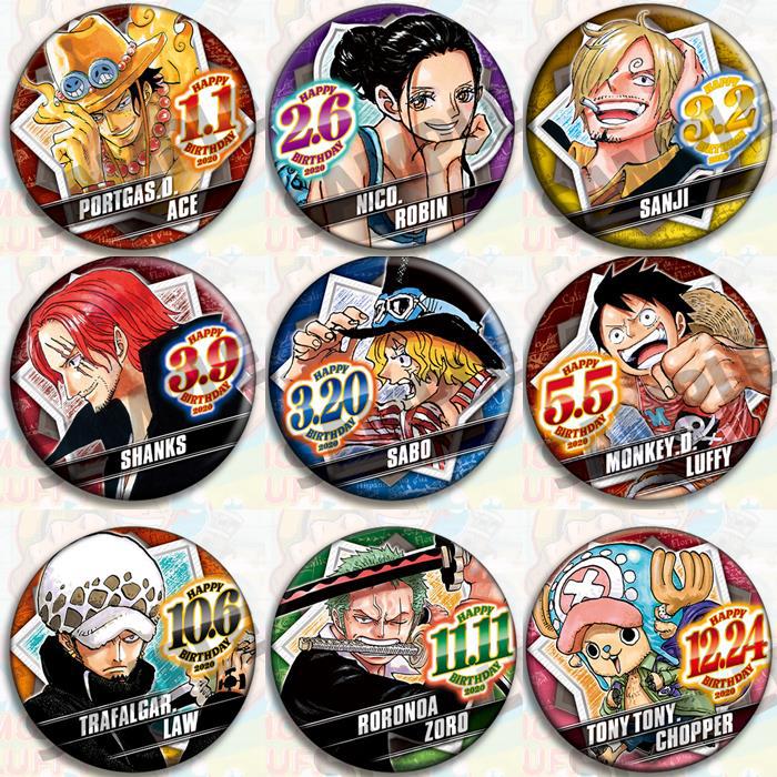 Model Kit Luffy - Tek Parça Anime Rozet Seti Resmi