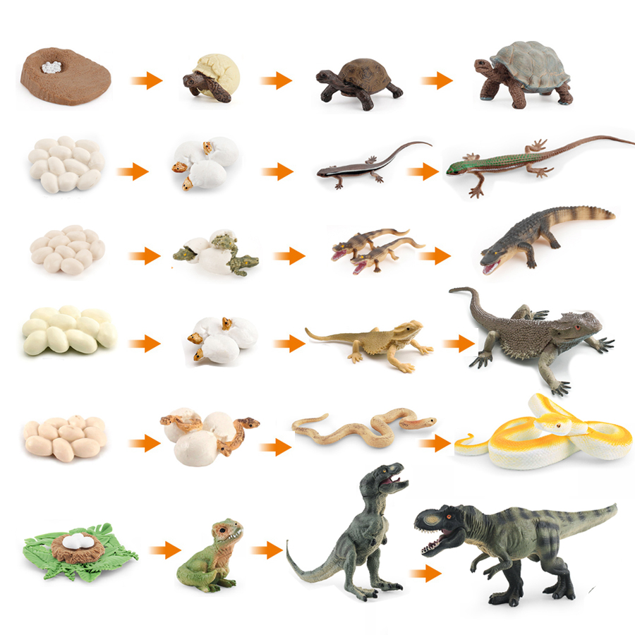 Simülasyon Dinozor Kertenkele  - Model Kit Lizard incelemesi ve fiyatı