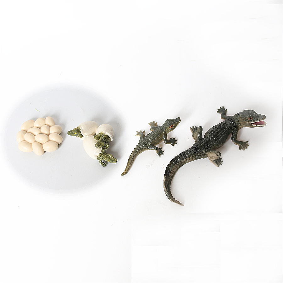Simülasyon Dinozor Kertenkele  - Model Kit Lizard incelemesi ve fiyatı